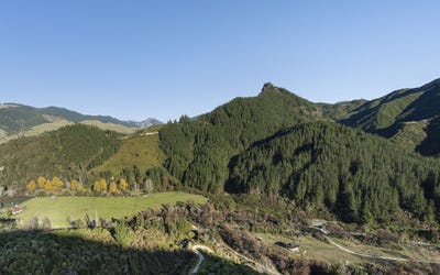 /international/nz/ngatimoti-tasman-380066077309/