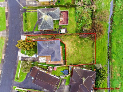 /international/nz/papatoetoe-manukau-city-380066094923/
