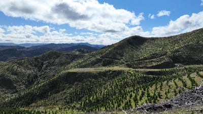 /international/nz/1529-tinui-valley-road-tinui-masterton-380066085424/