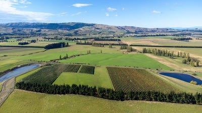 /international/nz/337-mackenzies-road-waipara-hurunui-380066181783/