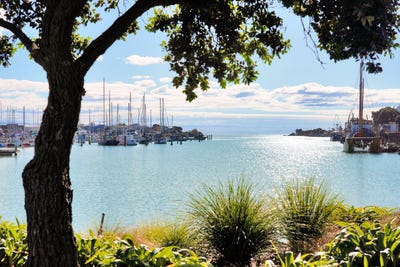 /international/nz/ahuriri-napier-city-380066111294/