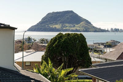/international/nz/17-lemon-grove-avenue-otumoetai-tauranga-380066111998/