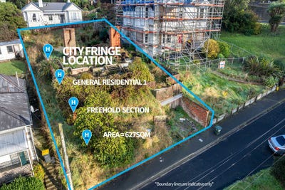 /international/nz/3-phillips-street-kensington-dunedin-city-380066179017/