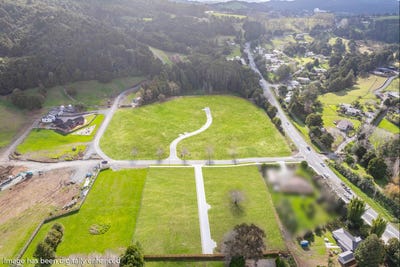 /international/nz/kamo-whangarei-380066079015/