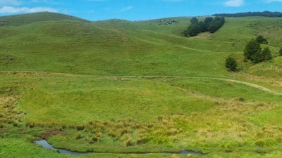 /international/nz/okokako-road-waimate-north-far-north-380066083225/