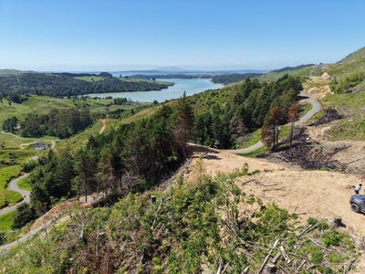 /international/nz/kawhia-otorohanga-380066100241/