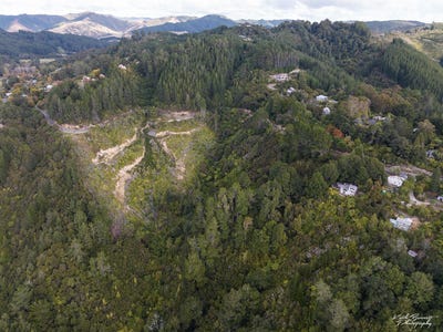 /international/nz/173-blue-mountains-road-blue-mountains-upper-hutt-city-380066081075/