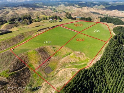 /international/nz/airstrip-road-pikowai-whakatane-380066079052/