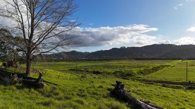 /international/nz/lot-1-motukiore-road-horeke-far-north-380066081648/