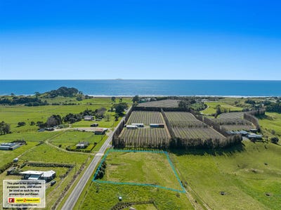 /international/nz/61-tirohanga-road-opotiki-and-surrounds-opotiki-380066089499/