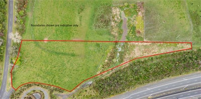 /international/nz/te-kauwhata-waikato-380066083273/