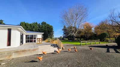 /international/nz/42-brown-road-mill-road-invercargill-city-380066092979/