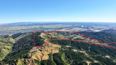 /international/nz/klondyke-road-port-waikato-waikato-380066145774/