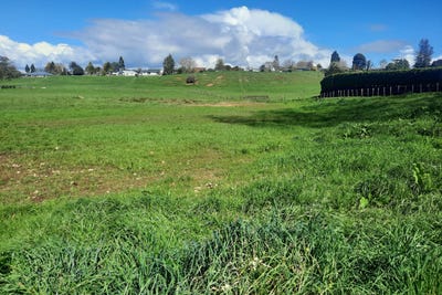 /international/nz/kihikihi-waipa-380066077435/