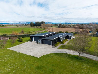 /international/nz/makauri-gisborne-380066101482/
