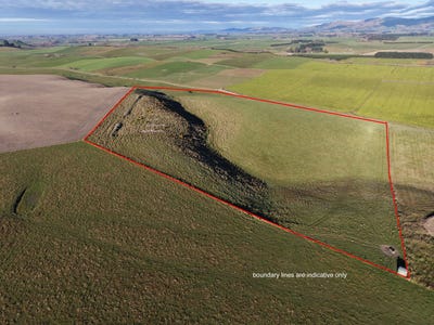 /international/nz/otaio-waimate-380066177348/