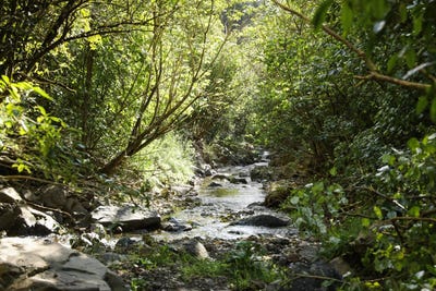 /international/nz/106-harrison-hill-road-aokautere-palmerston-north-city-380066086735/