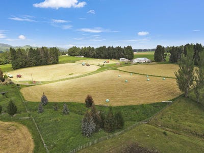 /international/nz/329-raetihi-ohakune-road-lot-2-ohakune-ruapehu-380066093489/