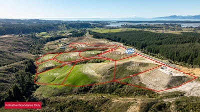 /international/nz/eban-road-development-redwood-valley-tasman-380066103304/