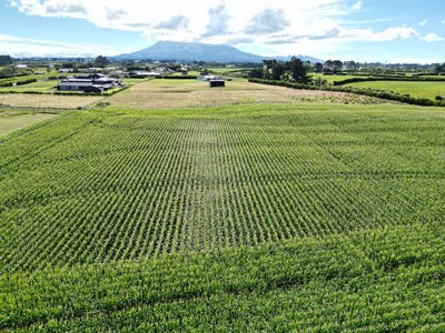/international/nz/monmouth-road-stratford-taranaki-380066101613/