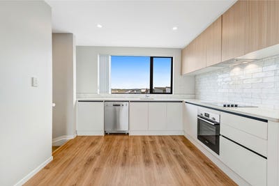 /international/nz/silverdale-hamilton-city-380066101545/