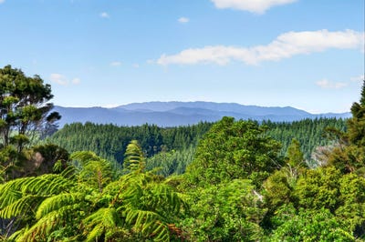 /international/nz/900-hunua-road-hunua-franklin-380066113724/