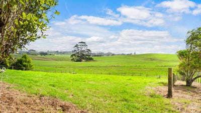 /international/nz/146-butchers-bridge-road-waiuku-franklin-380066079396/
