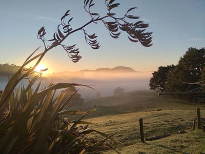 /international/nz/26-puriri-glade-maungaturoto-kaipara-380066120048/