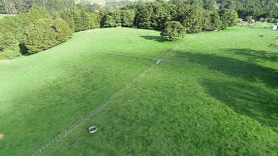 /international/nz/41-pinehill-road-pakaraka-far-north-380066086008/