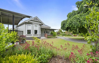 /international/nz/19-johnson-street-bulls-rangitikei-380066101999/