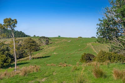 /international/nz/helensville-rodney-380066081281/