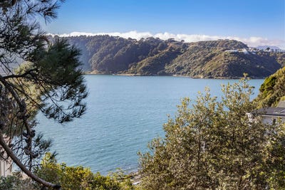 /international/nz/12-te-anau-avenue-hataitai-wellington-city-380066103452/