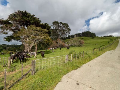 /international/nz/450-komokoriki-hill-road-makarau-rodney-380066104216/
