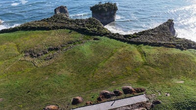 /international/nz/cape-foulwind-buller-380066115691/