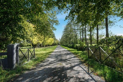 /international/nz/1015-wolffs-road-west-eyreton-waimakariri-380066111723/