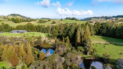 /international/nz/whakatane-bay-of-plenty-380066110164/