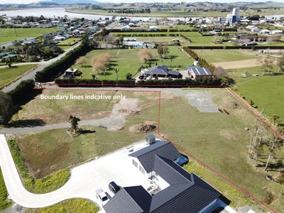 /international/nz/dargaville-kaipara-380066113309/