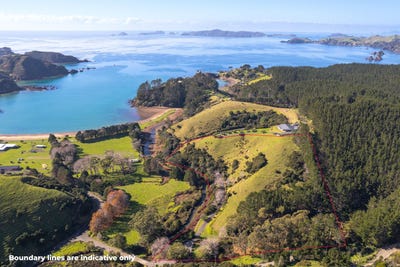 /international/nz/kaeo-far-north-380066168954/