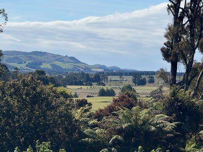 /international/nz/427-harrington-mill-road-catlins-surrounds-clutha-380066099166/