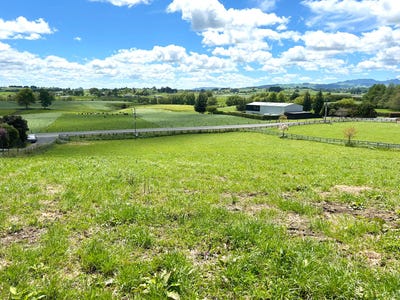 /international/nz/386-waikeria-road-te-awamutu-waipa-380066110944/