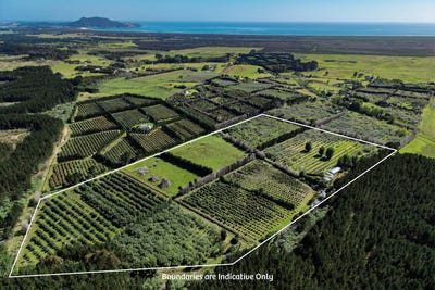 /international/nz/101-turk-valley-road-awanui-far-north-380066101711/