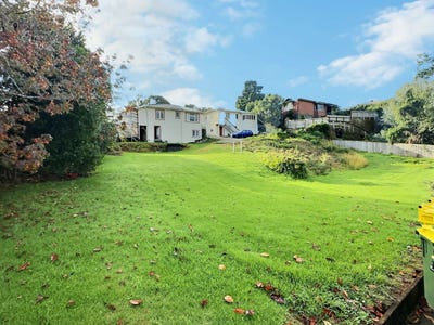 /international/nz/lower-vogeltown-new-plymouth-380066119035/