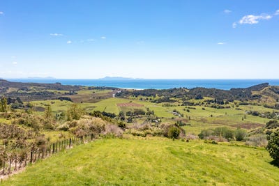 /international/nz/pakiri-rodney-380066095145/