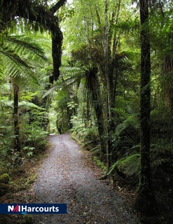 /international/nz/fox-glacier-westland-380066149449/