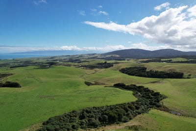 /international/nz/300-waterhouse-road-orepuki-southland-380066084012/