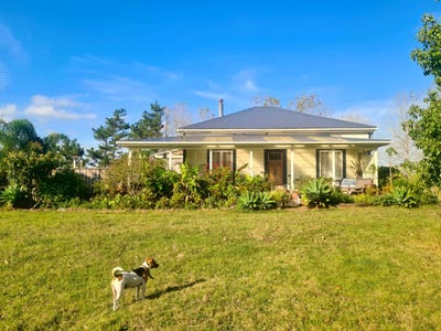 /international/nz/290-notorious-west-road-dargaville-kaipara-380066113239/