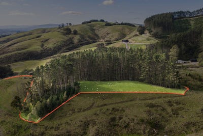 /international/nz/58-greens-road-linton-palmerston-north-city-380066179961/