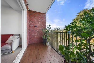 /international/nz/mount-albert-auckland-city-380066079119/