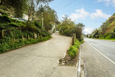 /international/nz/344-ohiro-road-brooklyn-wellington-city-380066109617/