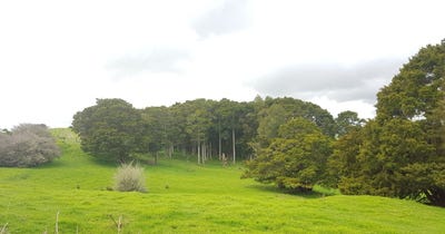 /international/nz/504-wairere-road-paparoa-kaipara-380066168609/